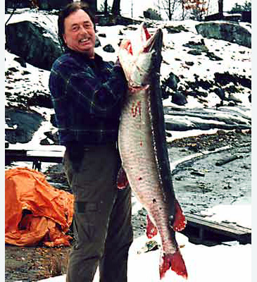 Record photograph for Esox masquinongy
